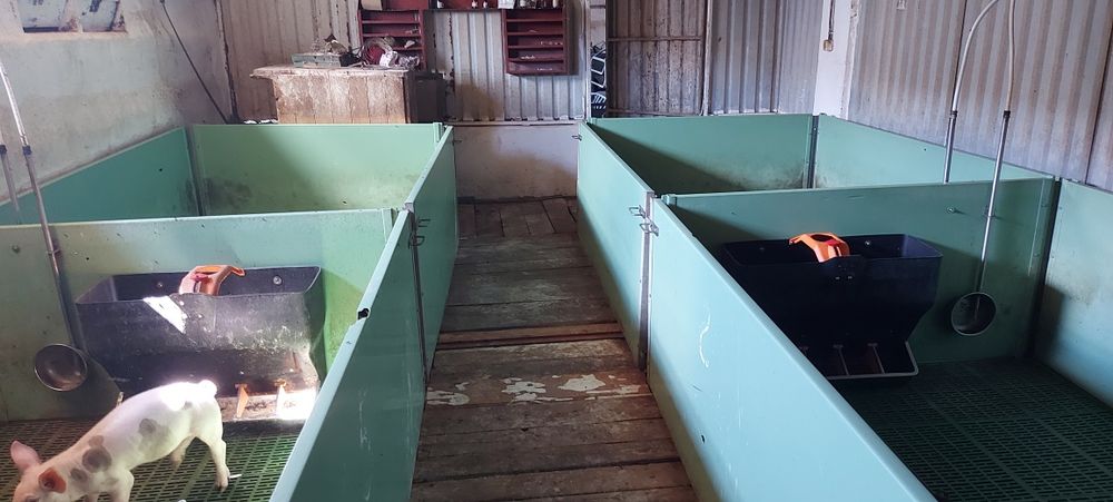 Продам ферму хозяйство ранчо