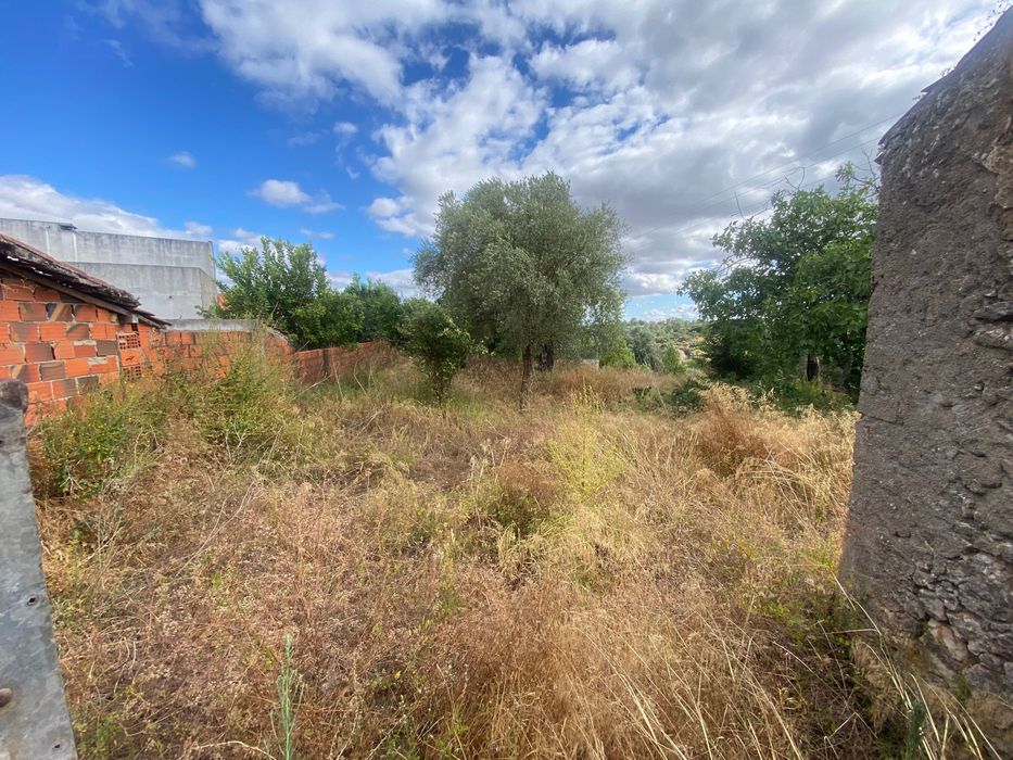 Limpeza de terrenos / Manutenção de jardins