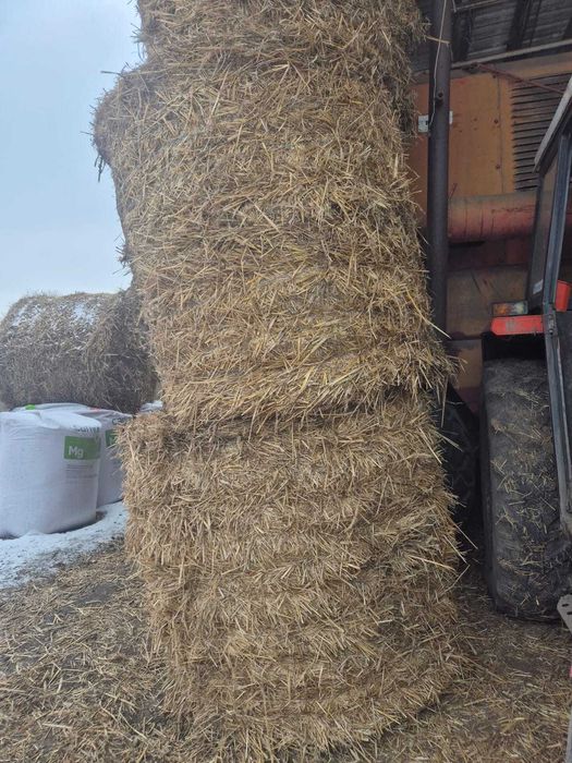 Sprzedam baloty słomy.