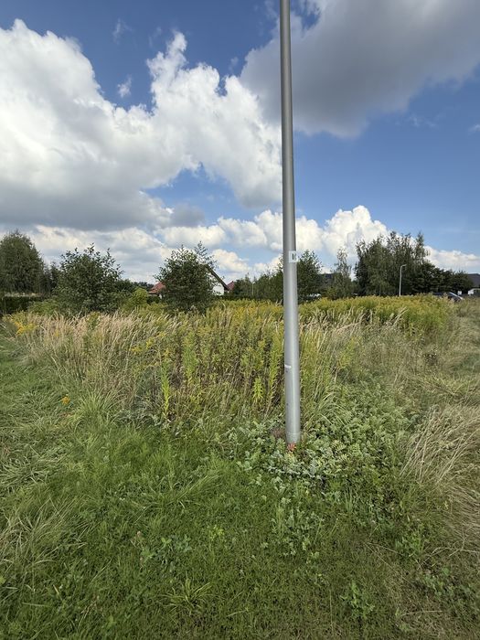 Czyszczenie Działek•Karczowanie•Koszenie•Mulczowanie• Legnica• Lubin