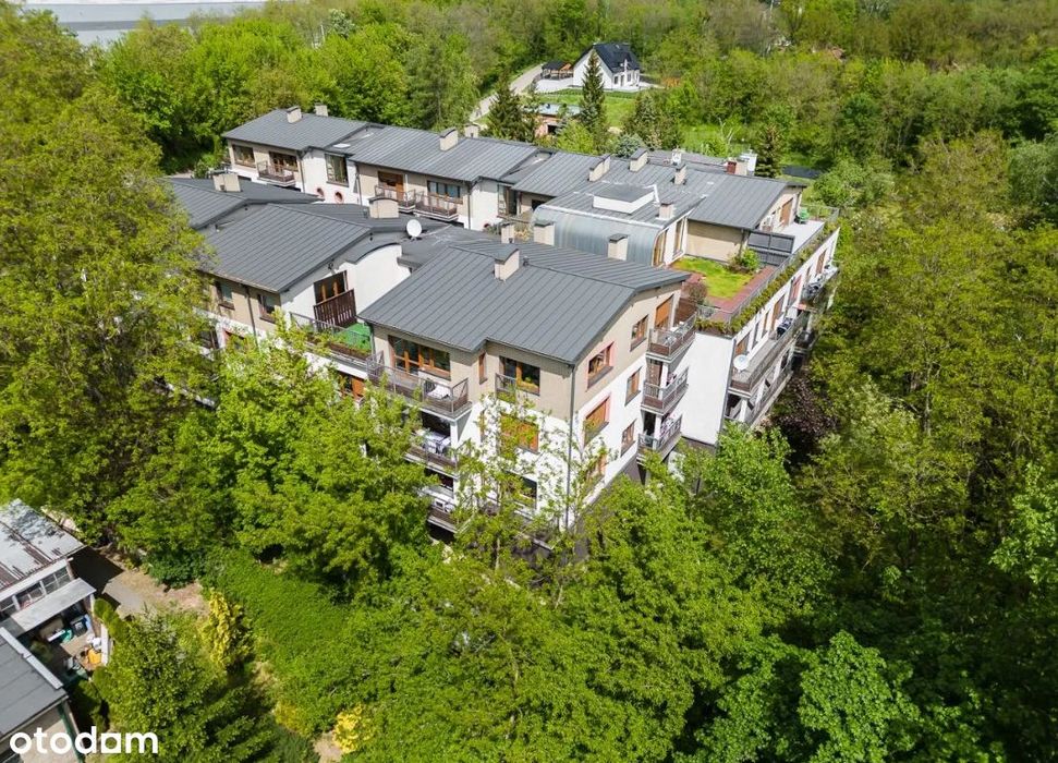Apartamentowiec Willa Leśna 2011 Rok Balkon Piwnica Volkswagen