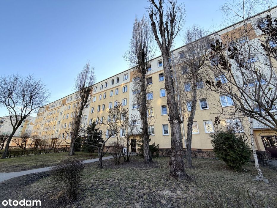 3 pokojowe mieszkanie na parterze