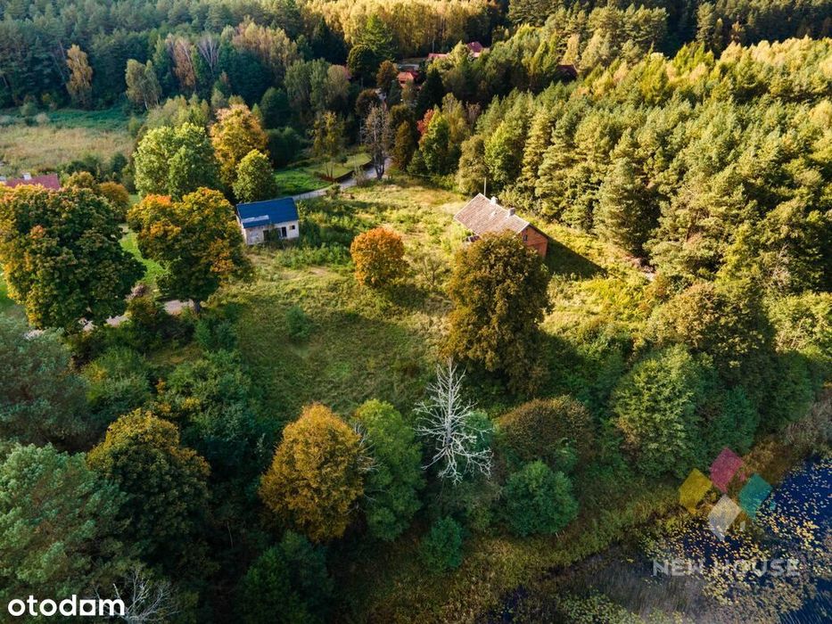Dłużki, siedlisko nad jez. Dłużek