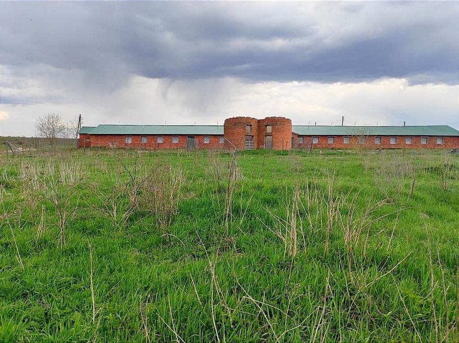 Продаж ферми. Траса Київ Рівне. Житомир. Можна під виробництво.