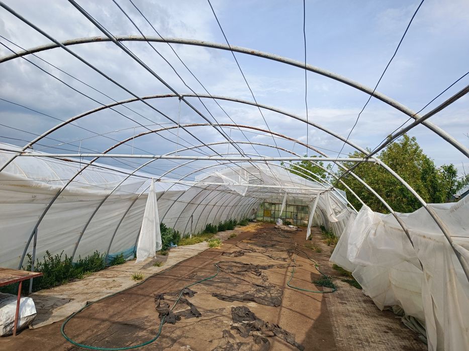 Sprzedam tunel cena do uzgodnienia