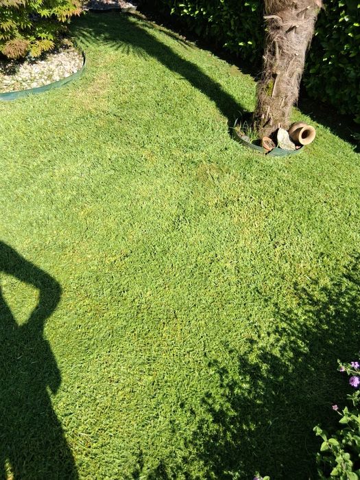 Jardineiro ao seu dispor