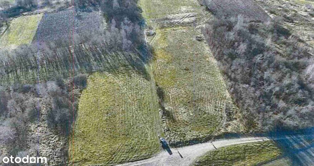 Syndyk sprzeda Udziały w Nieruchomościach w Łękach Dukielskich