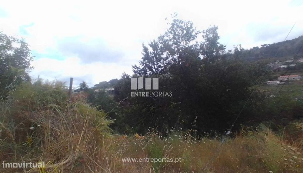 Venda Terreno, Santiago de Piães, Cinfães — Santiago de Piães, Viseu