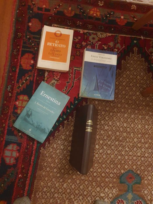 Literatura internacional e nacional varios autores