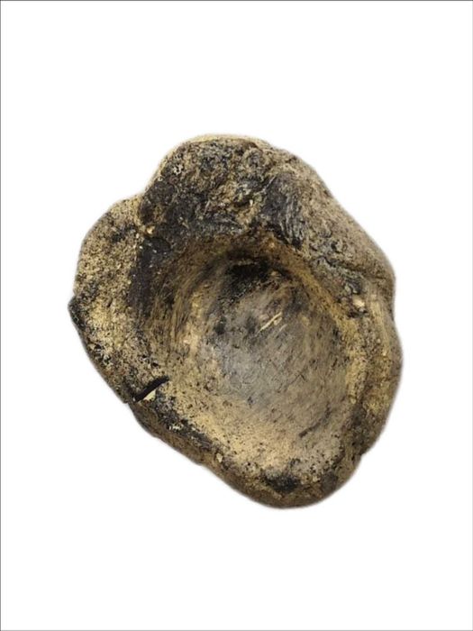 MISKA NA WODĘ do terrarium 4x5x1 cm.