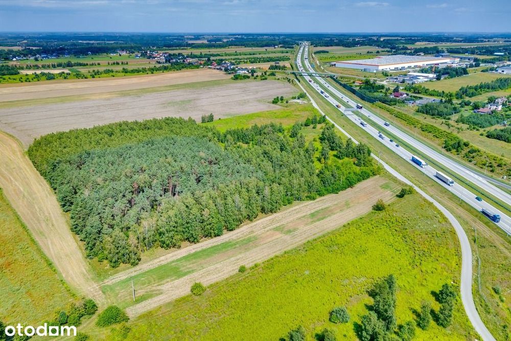 Działka usługowa przy samym zjeździe A1 - Widok 4