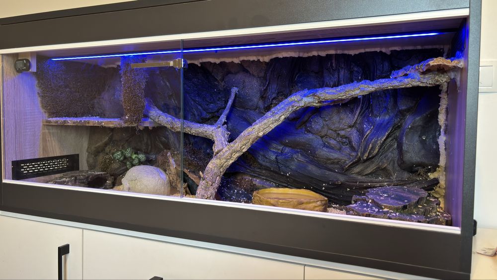 Terrarium dla weza, gada, gekona 120x55x40