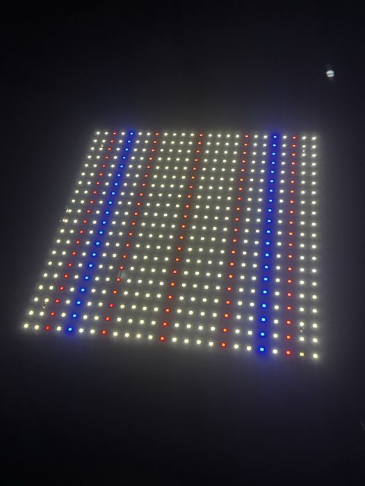 LED фитолампа 50W |