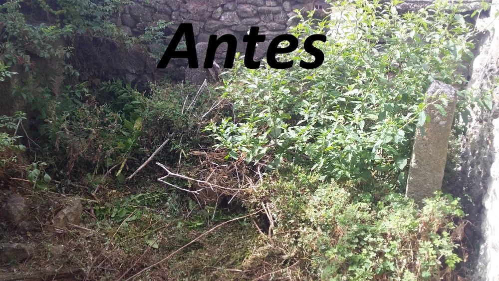 Limpeza de Terrenos, ruínas, mato junto a residências, etc