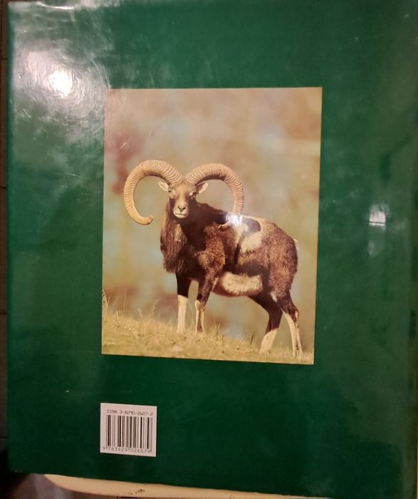 Livro sobre Caça,  em Castelhano, Kurt G. Blüchel