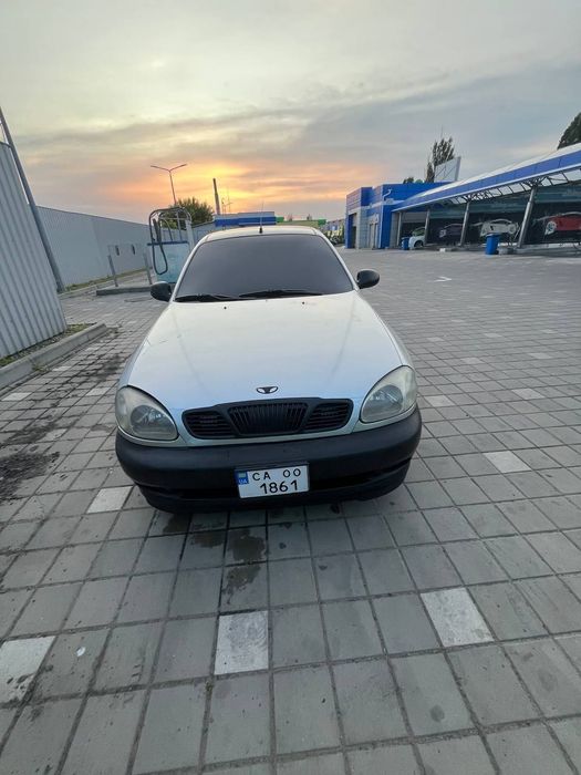Продам чистого поляка