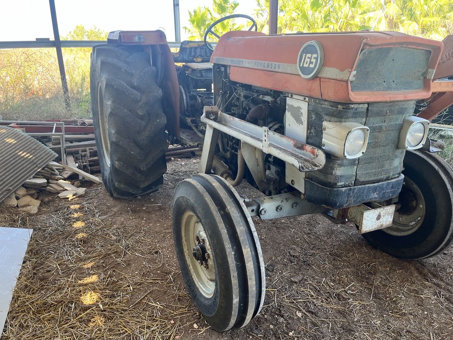Massey fergunson 165