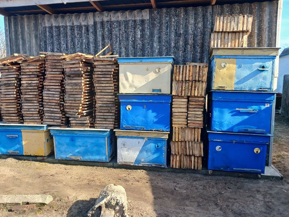 Продам вулики Українка