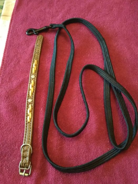 Один Лот Поводок з резинкою125см.новий+Ошийник 25см. для собачок-котів