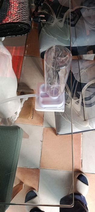Incovadora para pitos
