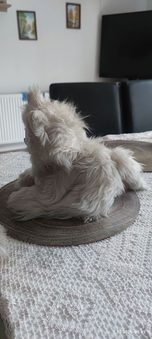 Pluszowy kot z okresu PRL