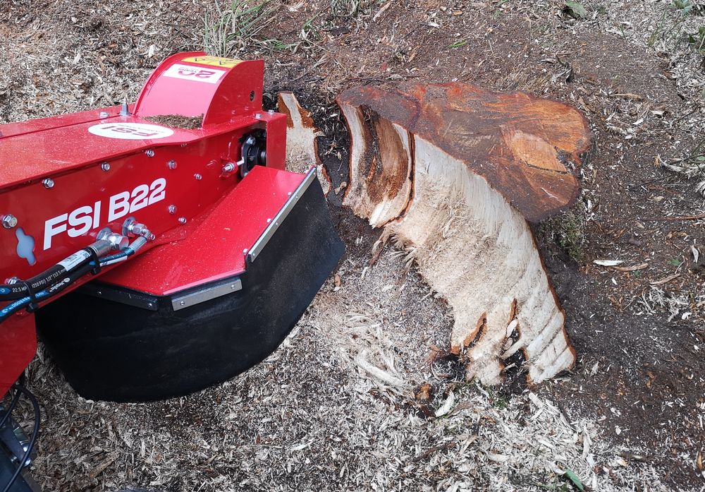 Usługa rębakiem,Frezowanie Pni,Wycinka drzew,Czyszczenienie działek