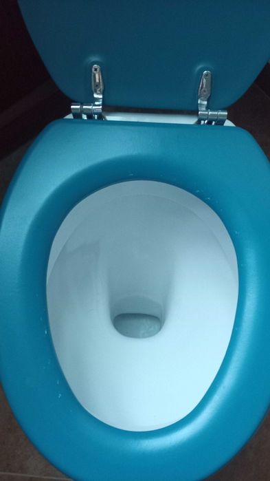 Sanita com tampo azul