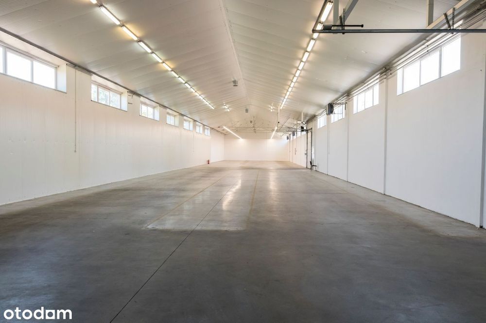Magazyn, hala, lokal, sklep 1000 m² Szczucin