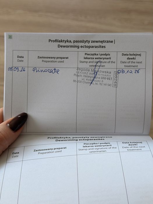 Oddam Kotka w Dobre Ręce