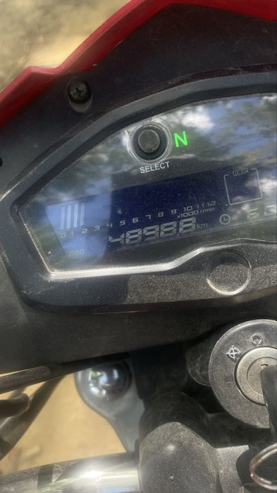 Продам мустанг фіт 2 125