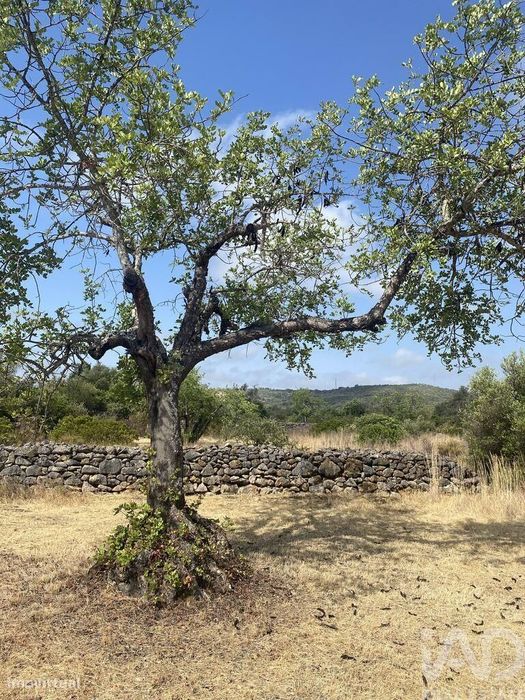 Terreno em Santa Catarina da Fonte do Bispo de 10000,00 m2