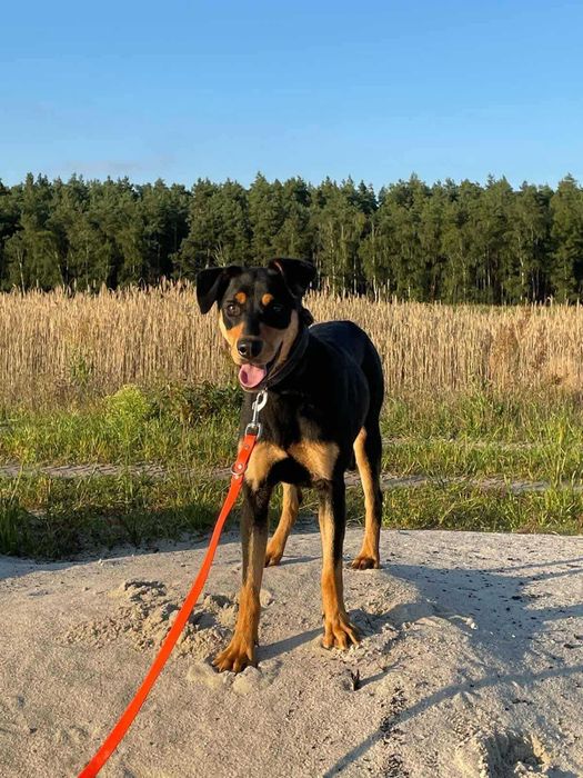 Luna - młoda, żywiołowa i gotowa na nowe życie