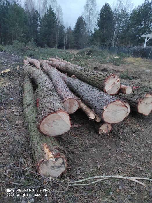 Sprzedam drewno dłużyca do przedarcia i na opał