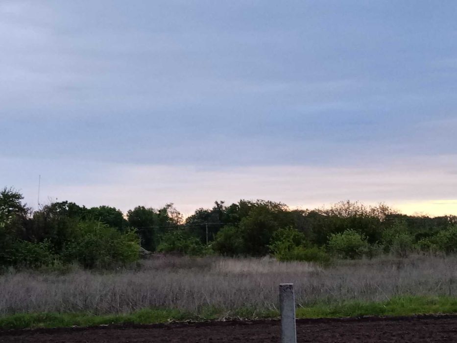 Пропонуємо до продажу земельну ділянку в с. Сагунівка