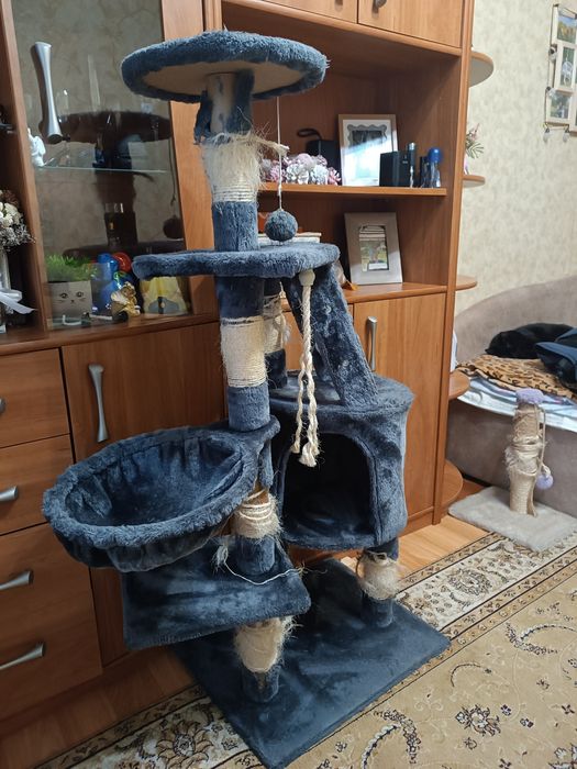 Будинок для котика