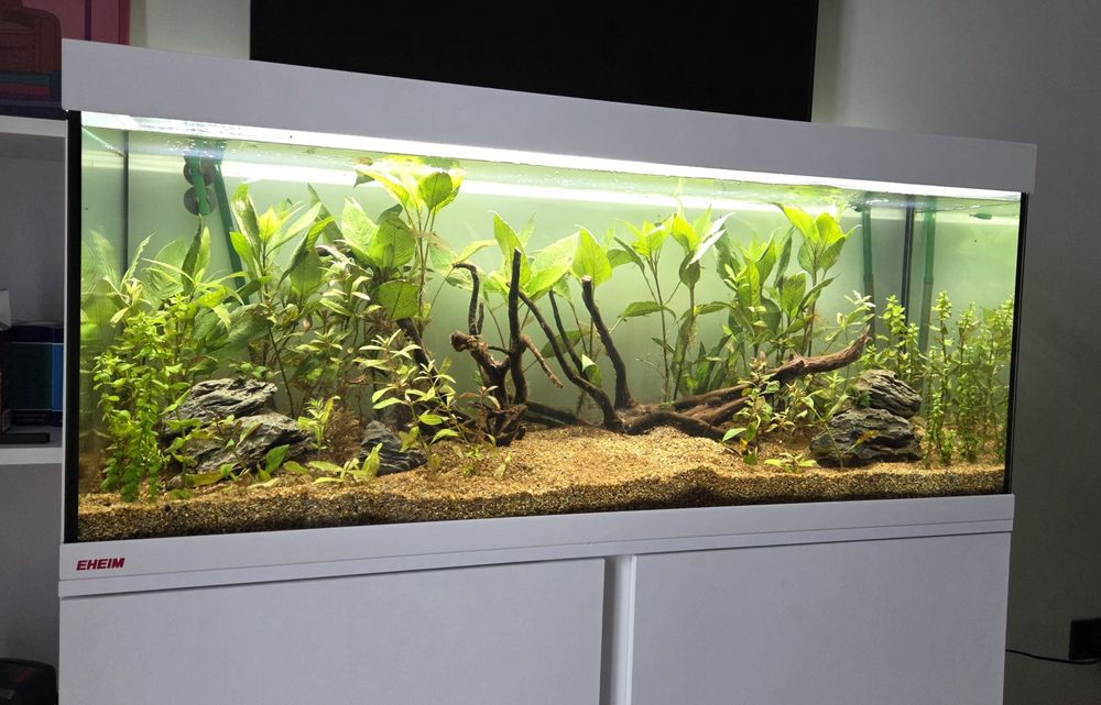 Акваріум Eheim 240л