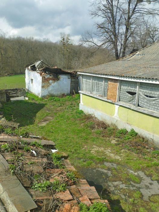 Продам дві хати в с. Вендичани