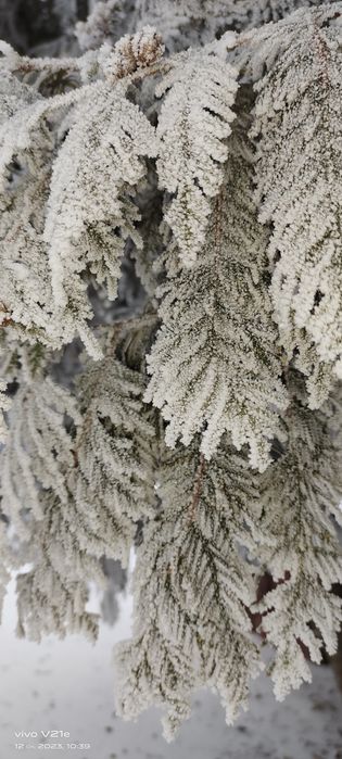 Потрібна допомога.