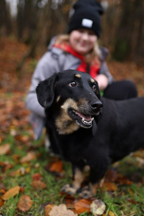 MISIOO - 4 letni szuka domu!