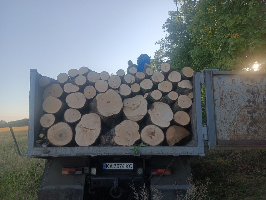 дрова дуб, граб, акація, канадський клен Іванковичі
Всі питання по телефону. Васильків