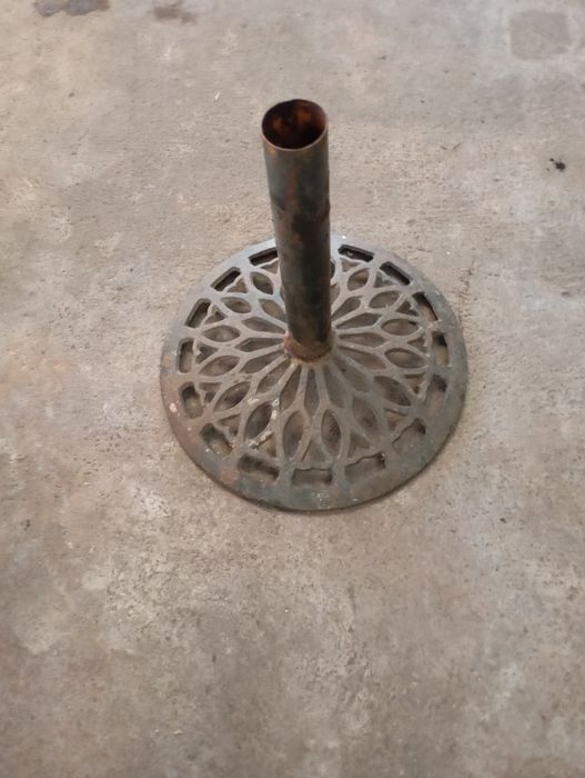 Vendo pé de ferro muita bonita