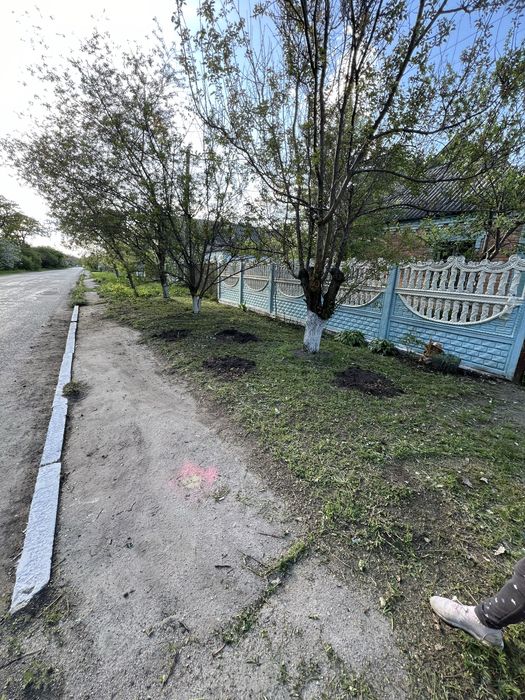 Будинок біля лісу