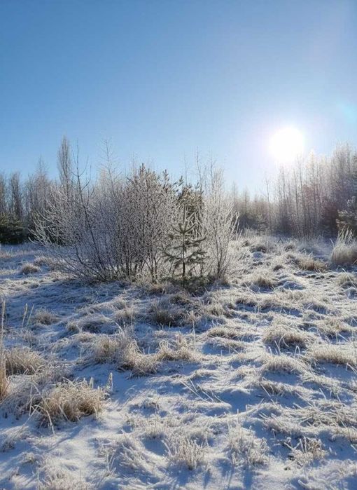 Продаж ділянки 12 соток для будівництва. В оточенні лісу. ТОРГ! ID:661