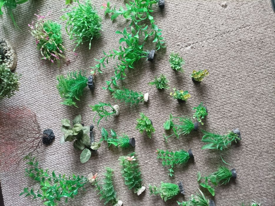 Sztuczne rośliny do akwarium