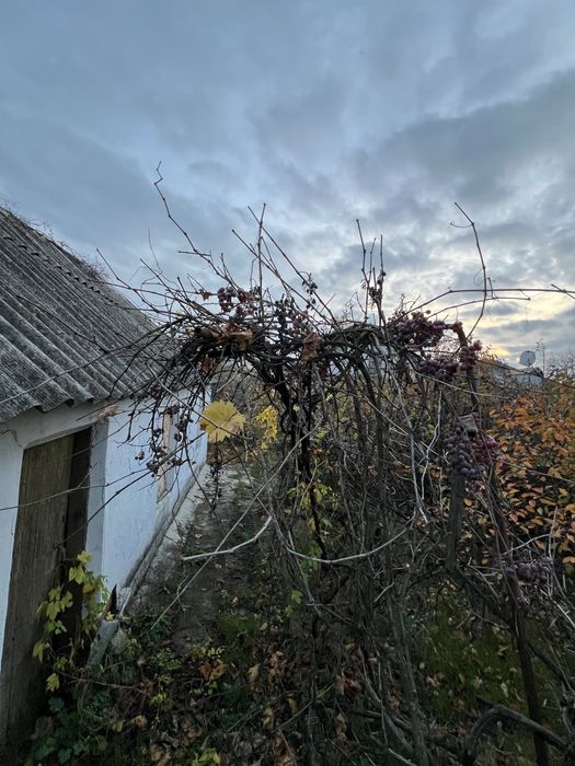 В продажу 3 к будинок на 13 лінії, землі - 6 соток