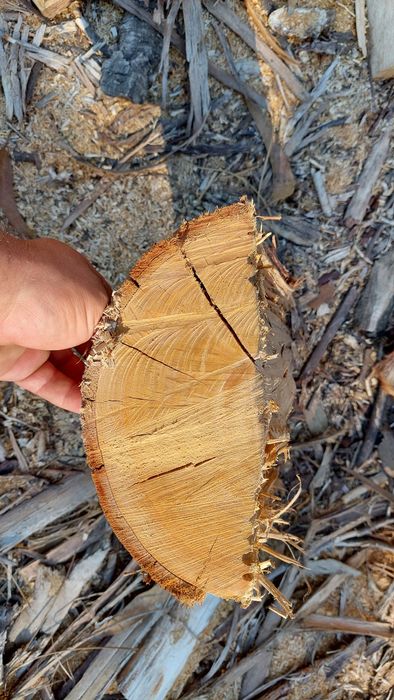 Lenha para aquecimento