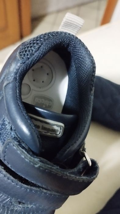 Sapatilhas da Chico número 22