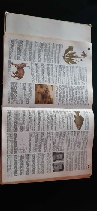 Mała encyklopedia powszechna PWN
