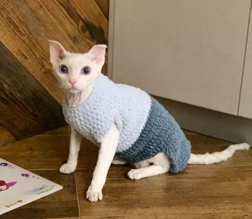 Одежда на кошек, собак,, сфинксов