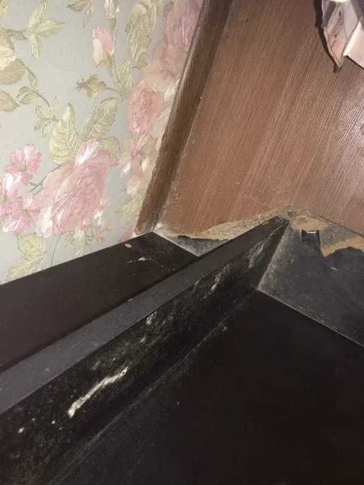 Аквариум на 500 литров + Тумба под него